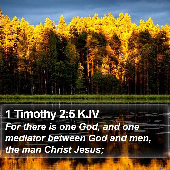 1 Timothy 25 KJV For there is one God, and one mediator
