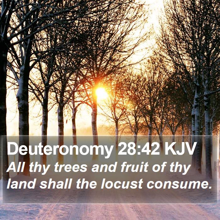 Deuteronomy 28:42 KJV - All thy trees and fruit of thy land shall the