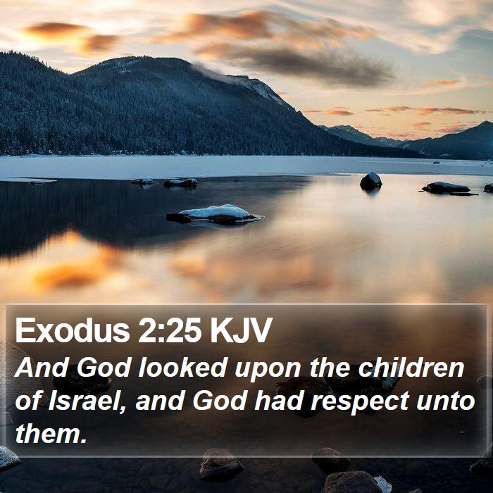 Exodus 2:25 KJV - And God looked upon the children of Israel, and