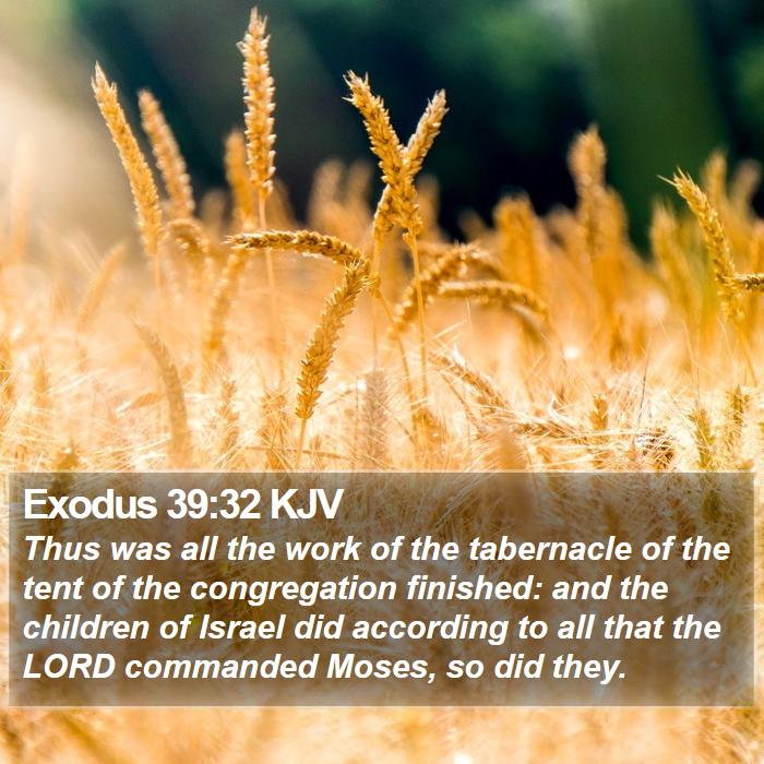 Exodus Kjv Thus Was All The Work Of The Tabernacle Of The
