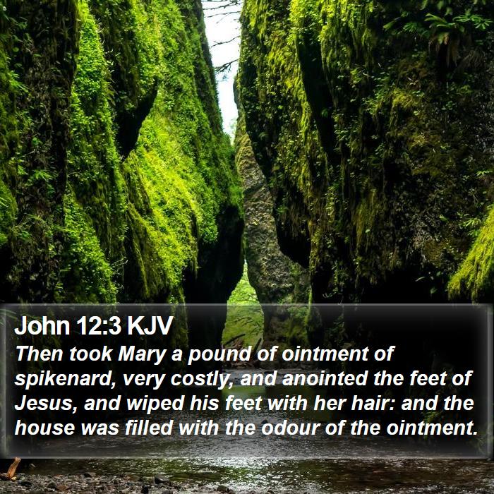 John 12:3 KJV - Then took Mary a pound of ointment of spikenard,