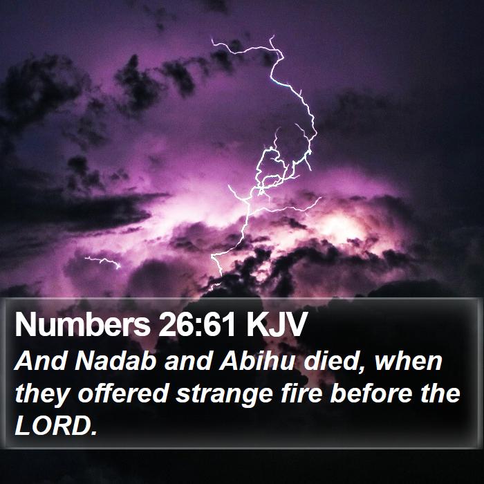 Numbers 26:61 KJV - And Nadab and Abihu died, when they offered