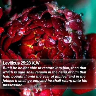 Leviticus 25:28 KJV Bible Verse Image