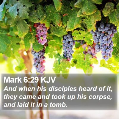 Mark 6:29 KJV Bible Verse Image