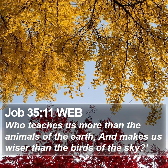 Job 35:11 WEB - Who teaches us more than the animals of the