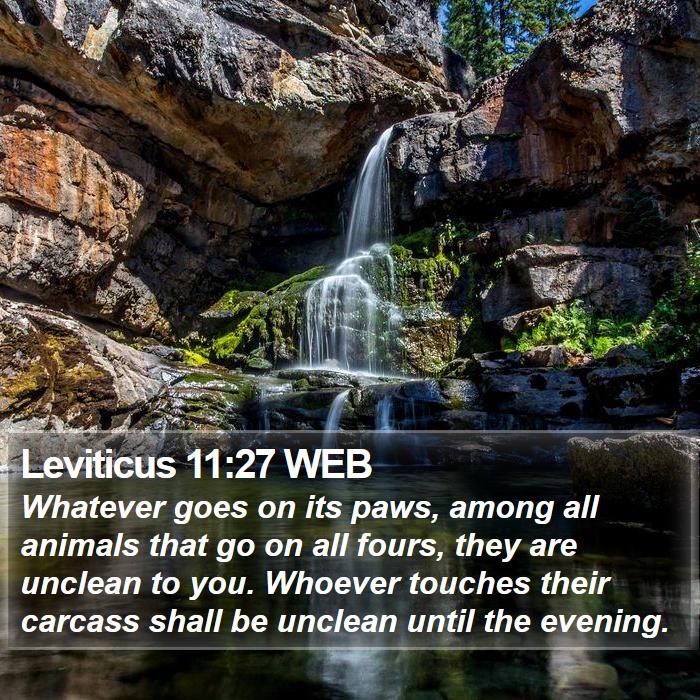Leviticus 11:27 WEB - Whatever goes on its paws, among all animals that