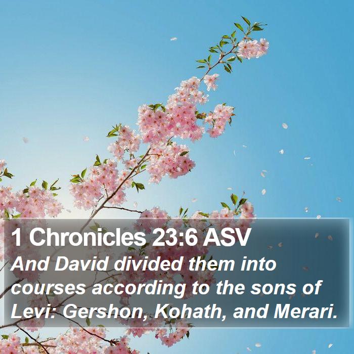 1 Chronicles 23:6 ASV - And David divided them into courses according to - Bible Verse Picture
