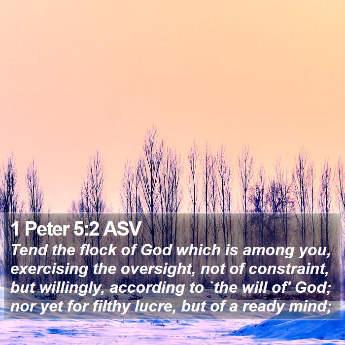 1 Peter 5:2 ASV - Tend the flock of God which is among you, - Bible Verse Picture