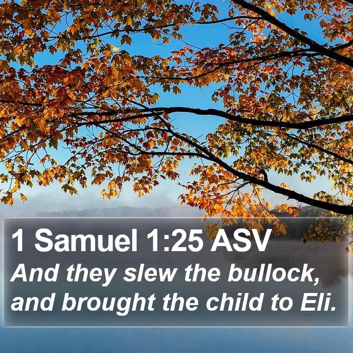 1 Samuel 1:25 ASV - And they slew the bullock, and brought the child - Bible Verse Picture