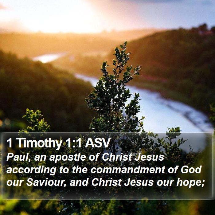 1 Timothy 1:1 ASV - Paul, an apostle of Christ Jesus according to the - Bible Verse Picture