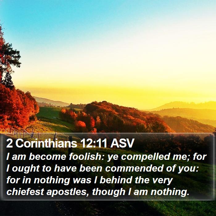 2 Corinthians 12:11 ASV - I am become foolish: ye compelled me; for I ought - Bible Verse Picture