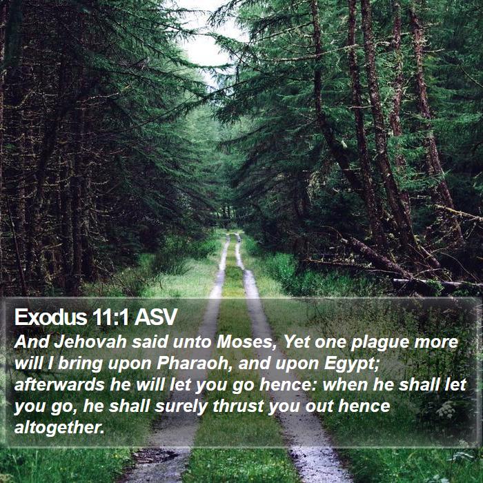 Exodus 11:1 ASV - And Jehovah said unto Moses, Yet one plague more - Bible Verse Picture