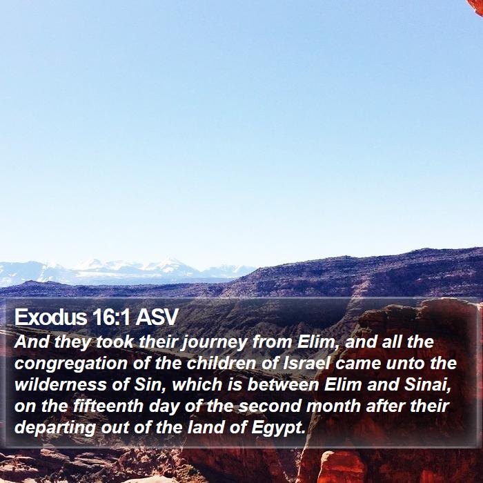 Exodus 16:1 ASV - And they took their journey from Elim, and all - Bible Verse Picture