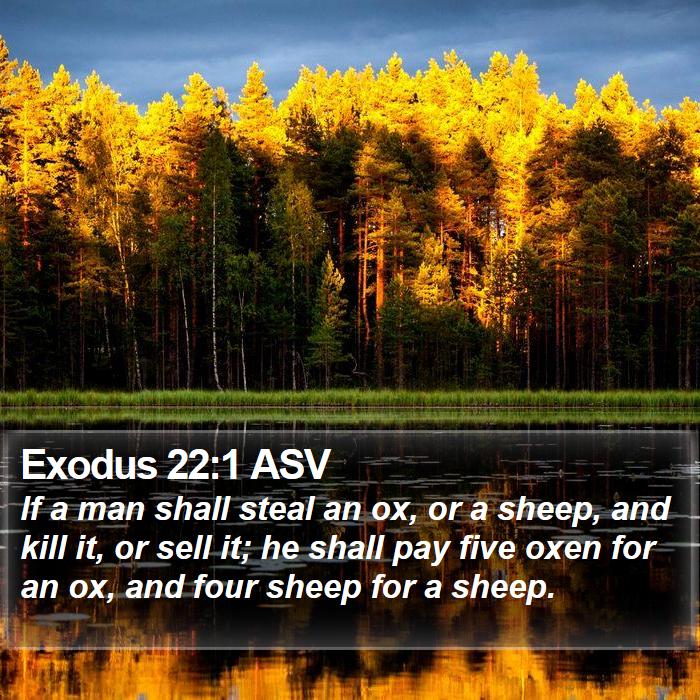 Exodus 22:1 ASV - If a man shall steal an ox, or a sheep, and kill - Bible Verse Picture