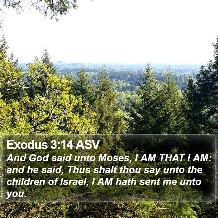 Exodus 3:14 ASV - And God said unto Moses, I AM THAT I AM: and he - Bible Verse Picture