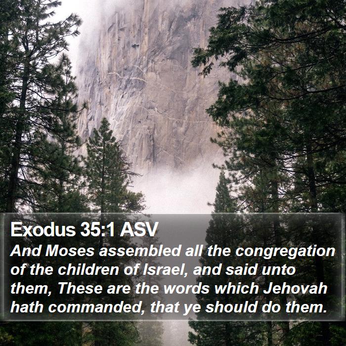 Exodus 35:1 ASV - And Moses assembled all the congregation of the - Bible Verse Picture