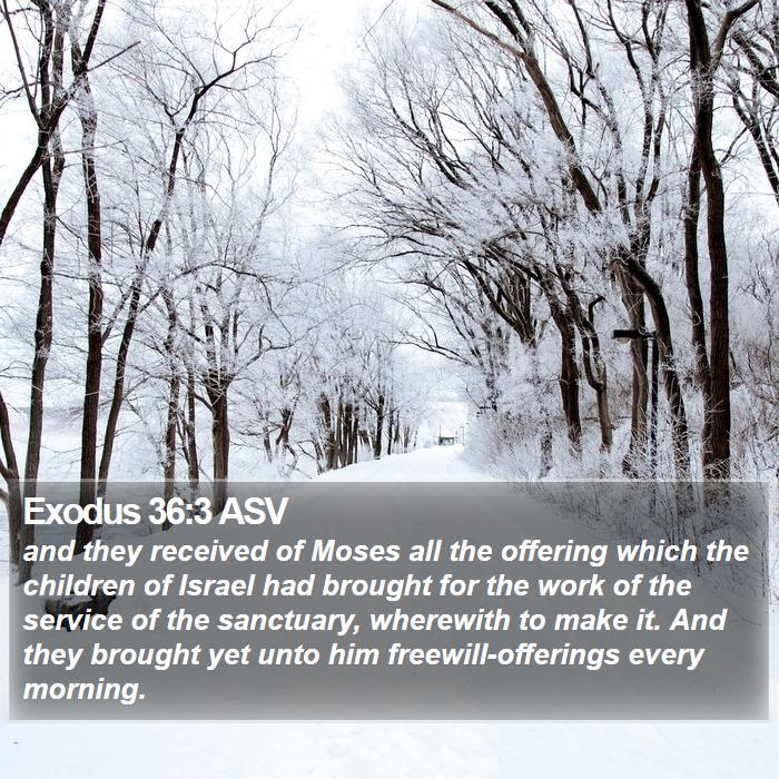 Exodus 36:3 ASV - and they received of Moses all the offering which - Bible Verse Picture