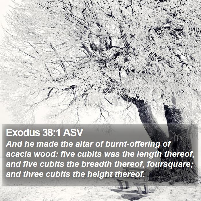 Exodus 38:1 ASV - And he made the altar of burnt-offering of acacia - Bible Verse Picture