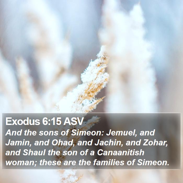 Exodus 6:15 ASV - And the sons of Simeon: Jemuel, and Jamin, and - Bible Verse Picture