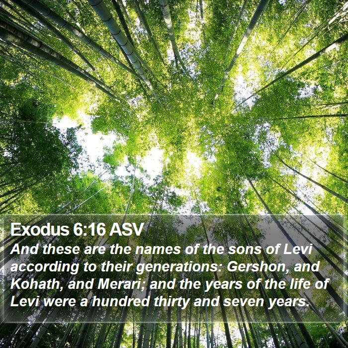 Exodus 6:16 ASV - And these are the names of the sons of Levi - Bible Verse Picture