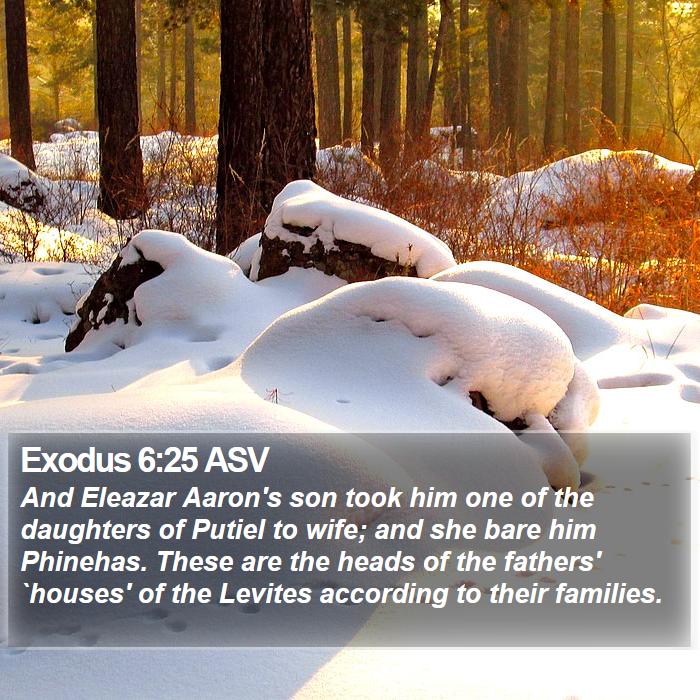 Exodus 6:25 ASV - And Eleazar Aaron's son took him one of the - Bible Verse Picture