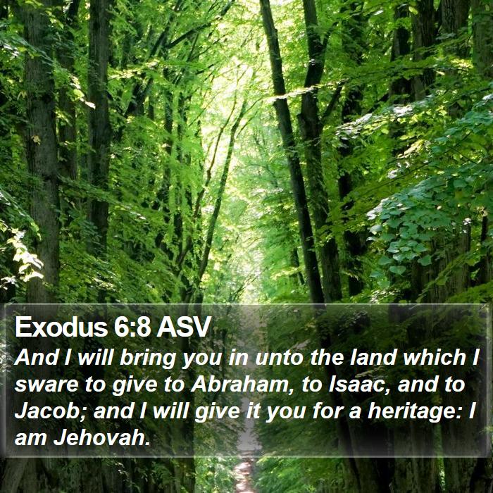 Exodus 6:8 ASV - And I will bring you in unto the land which I - Bible Verse Picture