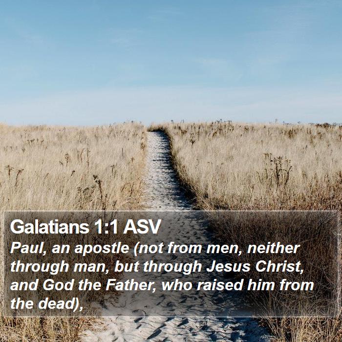 Galatians 1:1 ASV - Paul, an apostle (not from men, neither through - Bible Verse Picture