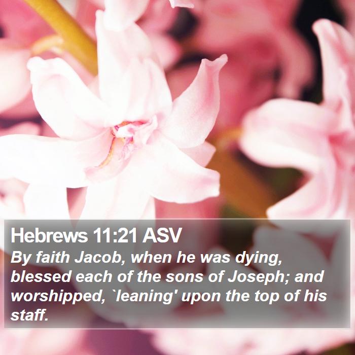 Hebrews 11:21 ASV - By faith Jacob, when he was dying, blessed each - Bible Verse Picture
