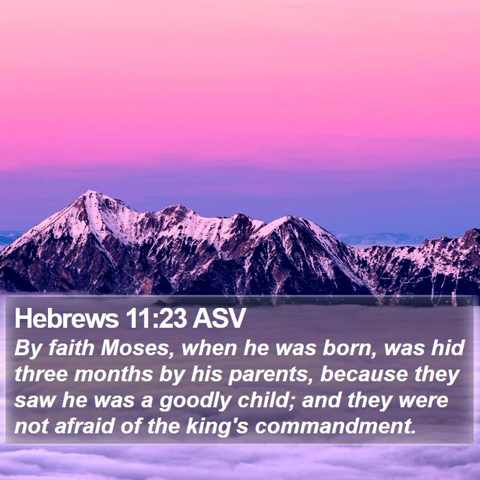 Hebrews 11:23 ASV - By faith Moses, when he was born, was hid three - Bible Verse Picture