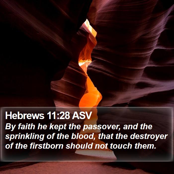 Hebrews 11:28 ASV - By faith he kept the passover, and the sprinkling - Bible Verse Picture