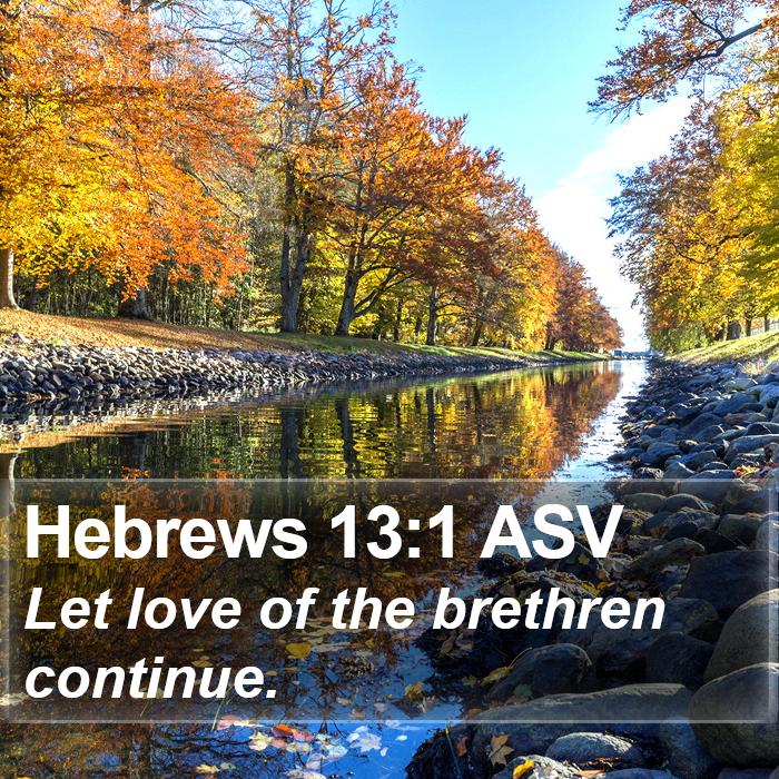 Hebrews 13:1 ASV - Let love of the brethren - Bible Verse Picture