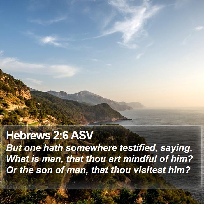 Hebrews 2:6 ASV - But one hath somewhere testified, saying, What is - Bible Verse Picture