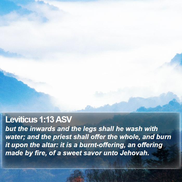 Leviticus 1:13 ASV - but the inwards and the legs shall he wash with - Bible Verse Picture