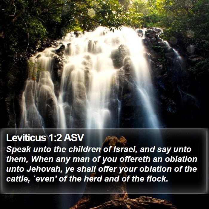 Leviticus 1:2 ASV - Speak unto the children of Israel, and say unto - Bible Verse Picture