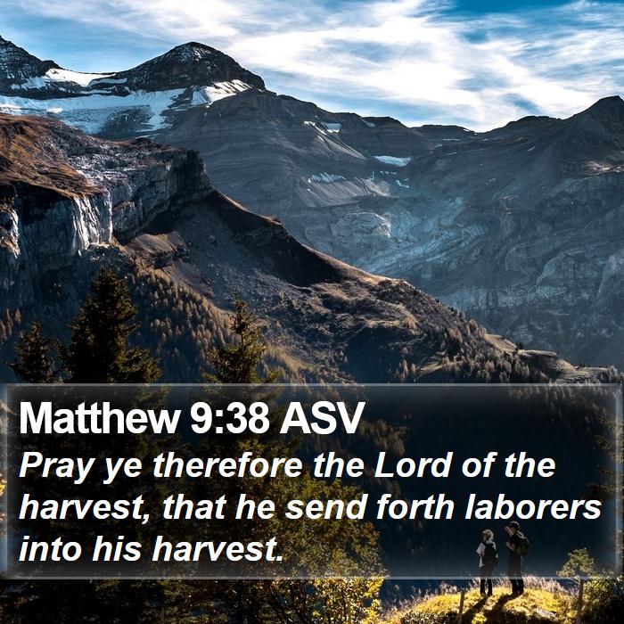 Matthew 9:38 ASV - Pray ye therefore the Lord of the harvest, that - Bible Verse Picture