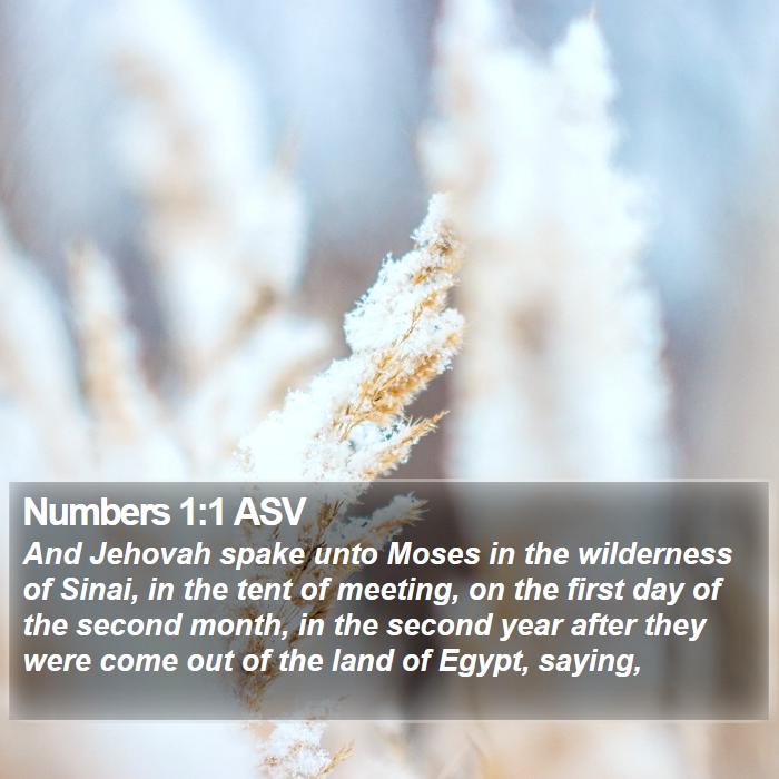 Numbers 1:1 ASV - And Jehovah spake unto Moses in the wilderness of - Bible Verse Picture
