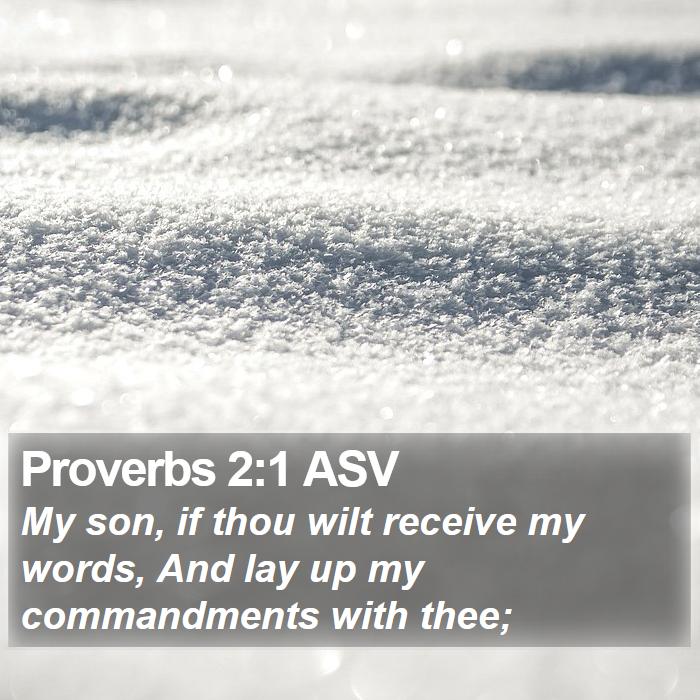 Proverbs 2:1 ASV - My son, if thou wilt receive my words, And lay up - Bible Verse Picture