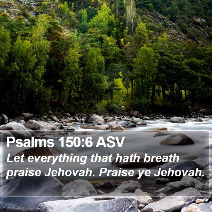 Psalms 150:6 ASV - Let everything that hath breath praise Jehovah. - Bible Verse Picture