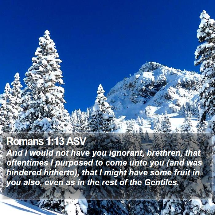 Romans 1:13 ASV - And I would not have you ignorant, brethren, that - Bible Verse Picture