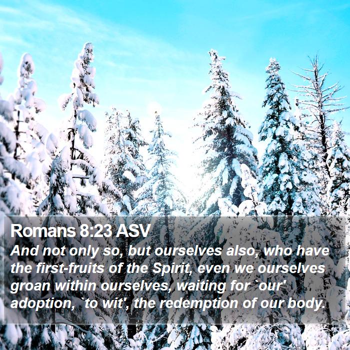 Romans 8:23 ASV - And not only so, but ourselves also, who have the - Bible Verse Picture