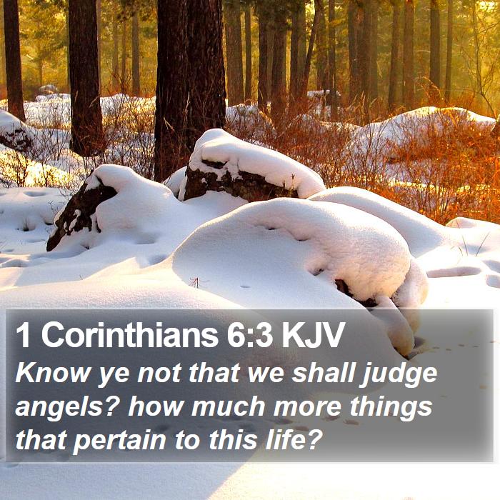 1 Corinthians 6:3 KJV - Know ye not that we shall judge angels? how much - Bible Verse Picture