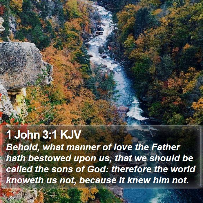 1 John 3:1 KJV - Behold, what manner of love the Father hath - Bible Verse Picture