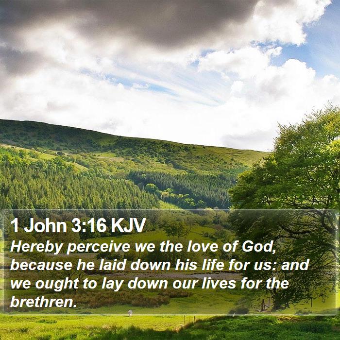 1 John 3:16 KJV - Hereby perceive we the love of God, because he - Bible Verse Picture