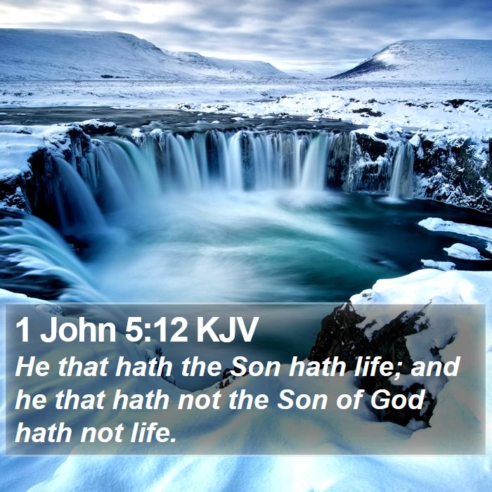 1 John 5:12 KJV - He that hath the Son hath life; and he that hath - Bible Verse Picture