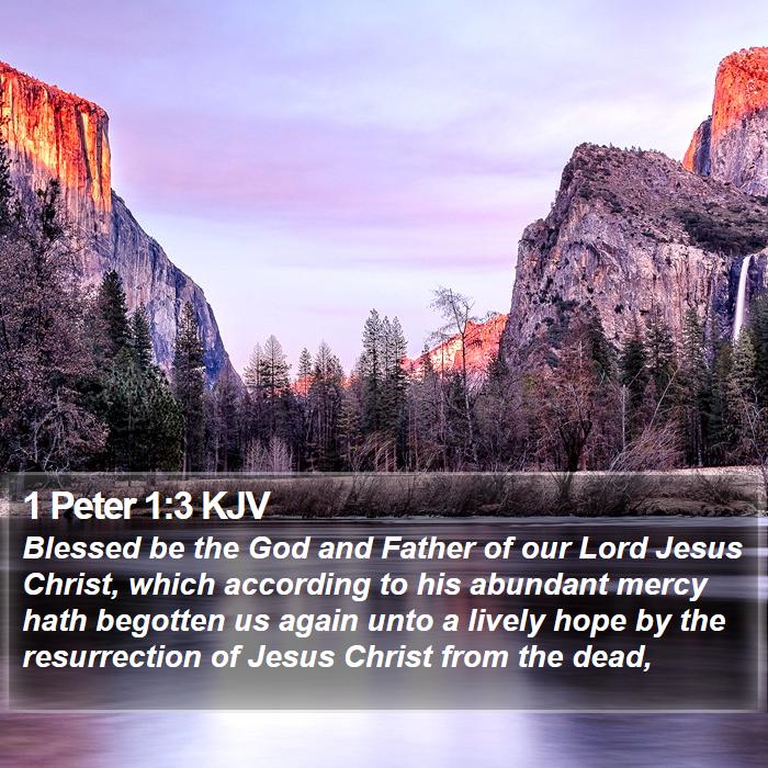 1 Peter 1:3 KJV - Blessed be the God and Father of our Lord Jesus - Bible Verse Picture