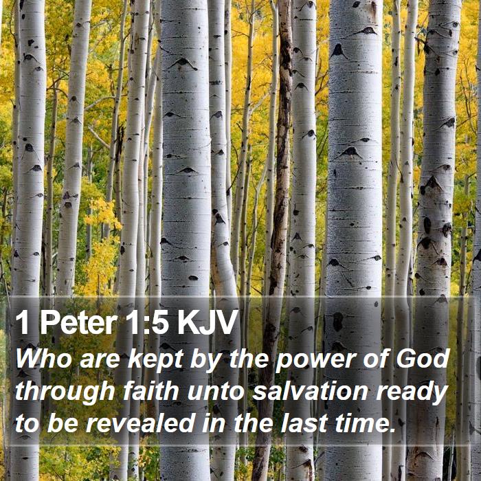 1 Peter 1:5 KJV - Who are kept by the power of God through faith - Bible Verse Picture