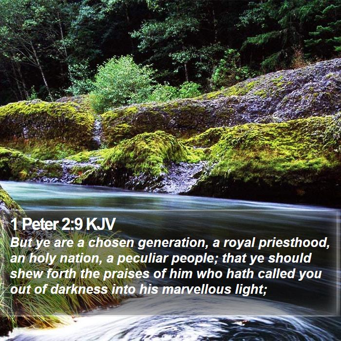 1 Peter 2:9 KJV - But ye are a chosen generation, a royal - Bible Verse Picture