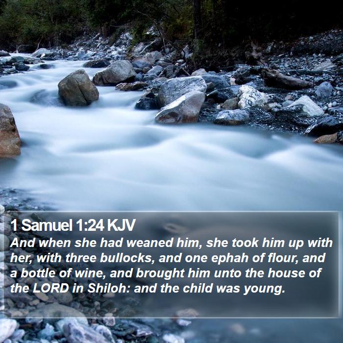 1 Samuel 1:24 KJV - And when she had weaned him, she took him up with - Bible Verse Picture
