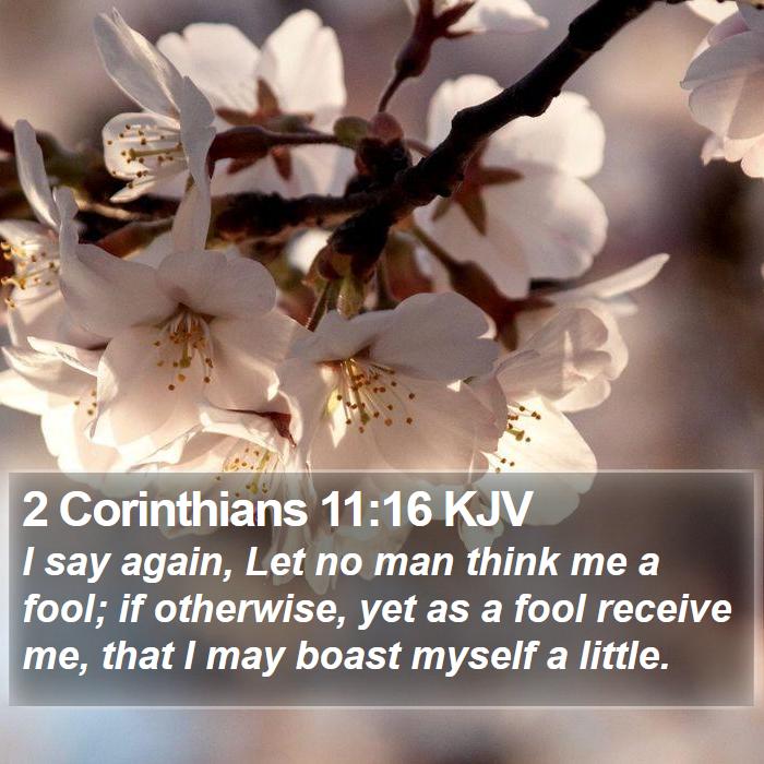 2 Corinthians 11:16 KJV - I say again, Let no man think me a fool; if - Bible Verse Picture