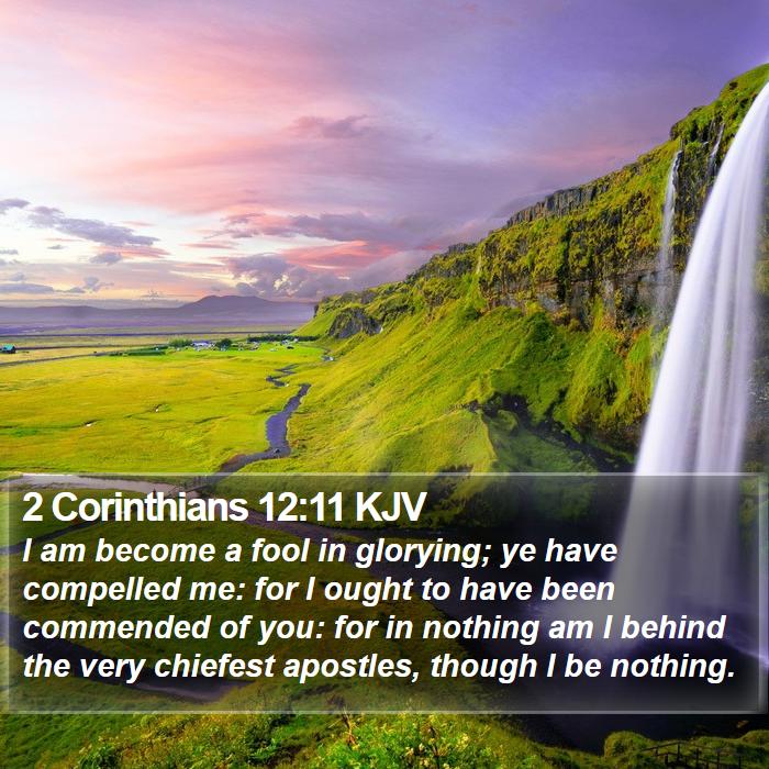 2 Corinthians 12:11 KJV - I am become a fool in glorying; ye have compelled - Bible Verse Picture